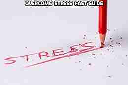 OVERCOME STRESS : DEAL WITH STRESS MAKE A NEW FUTURE