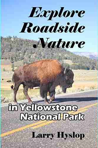 Explore Roadside Nature: In Yellowstone National Park