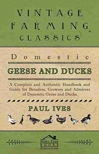 Domestic Geese And Ducks A Complete And Authentic Handbook And Guide For Breeders Growers And Admirers Of Domestic Geese And Ducks