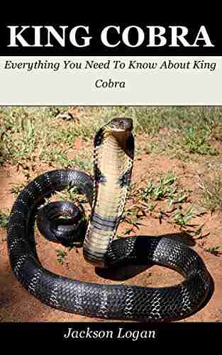 King Cobra: Everything You Need To Know About King Cobra