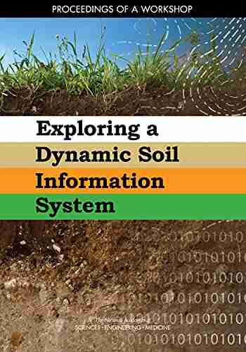 Exploring A Dynamic Soil Information System: Proceedings Of A Workshop