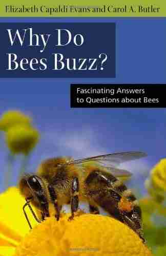 Why Do Bees Buzz?: Fascinating Answers To Questions About Bees (Animals Q A)