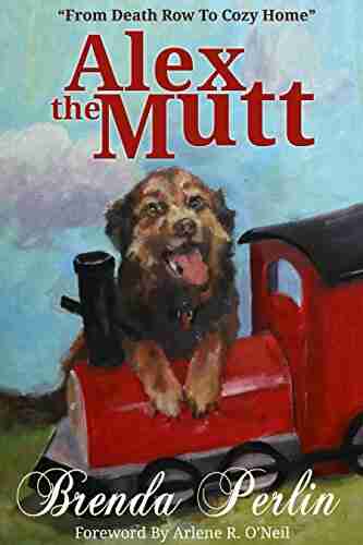 Alex the Mutt: From Death Row to Cozy Home