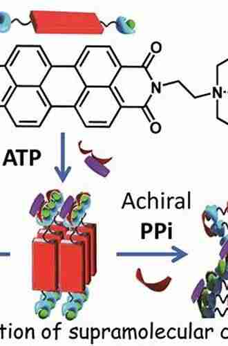 Fundamentals Of Supramolecular Chirality Stepan Podzimek