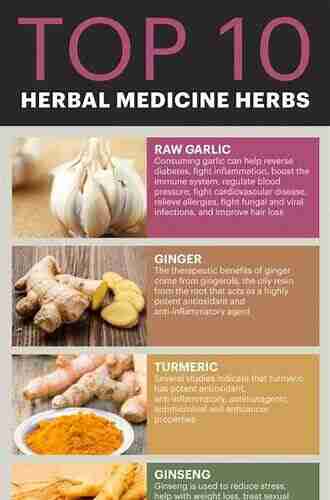 Herbal Supplements: Top 10 Herbal Supplements And Their Benefits