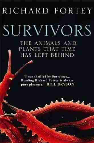 Horseshoe Crabs and Velvet Worms: The Story of the Animals and Plants That Time Has Left Behind