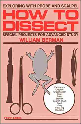 How To Dissect William Berman