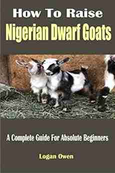 How To Raise Nigerian Dwarf Goats: A Complete Guide For Absolute Beginners