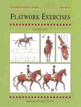 FLATWORK EXERCISES (Threshold Picture Guides 23)