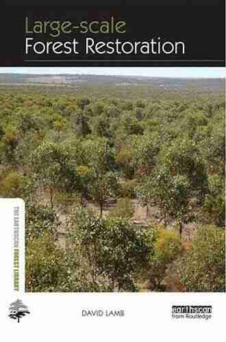 Large Scale Forest Restoration (The Earthscan Forest Library)