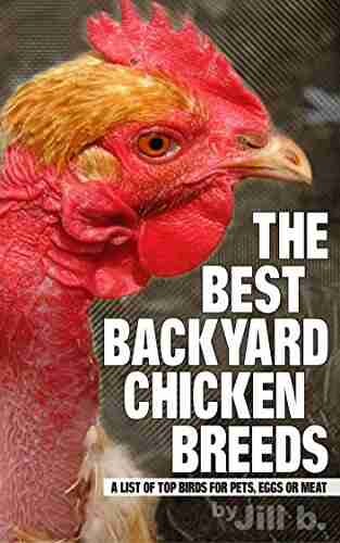 The Best Backyard Chicken Breeds: A List Of Top Birds For Pets Eggs And Meat (Livestock 2)