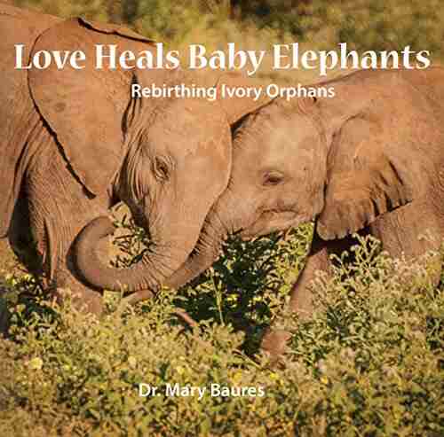 Love Heals Baby Elephants: Rebirthing Ivory Orphans