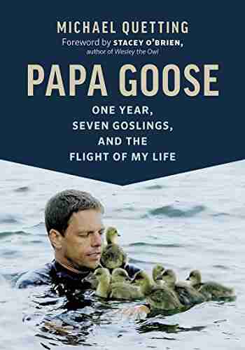 Papa Goose: One Year Seven Goslings And The Flight Of My Life