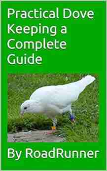 Practical Dove Keeping A Complete Guide