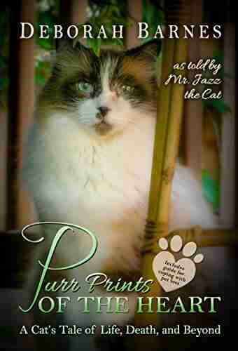 Purr Prints Of The Heart: A Cat S Tale Of Life Death And Beyond