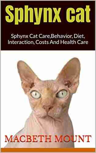 Sphynx Cat : Sphynx Cat Care Behavior Diet Interaction Costs And Health Care