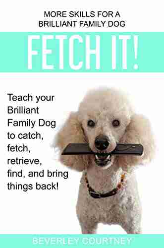 Fetch It : Teach Your Brilliant Family Dog To Catch Fetch Retrieve Find And Bring Things Back