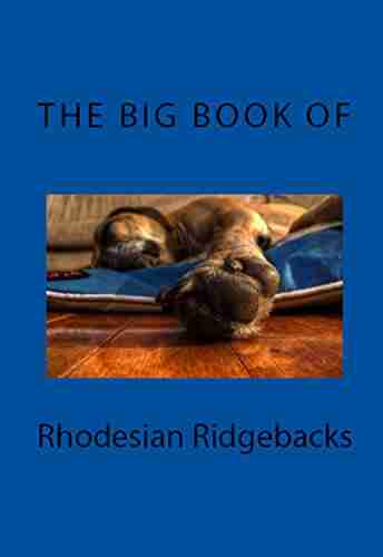 The Big of Rhodesian Ridgebacks