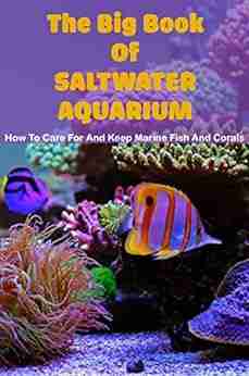 The Big Of Saltwater Aquarium: How To Care For And Keep Marine Fish And Corals