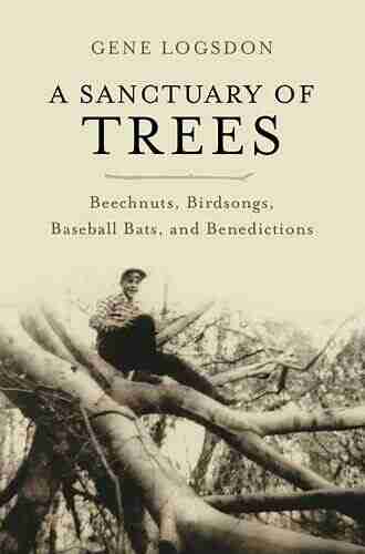 A Sanctuary of Trees: Beechnuts Birdsongs Baseball Bats and Benedictions