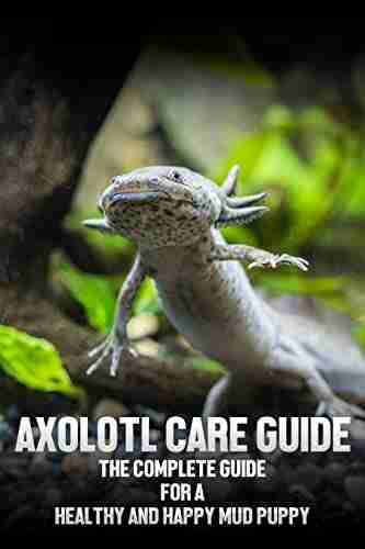 Axolotl Care Guide : The Complete Guide For A Healthy And Happy Mud Puppy