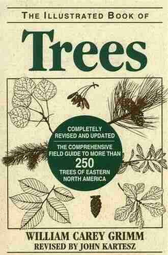 Illustrated Of Trees: The Comprehensive Field Guide To More Than 250 Trees Of Eastern North America