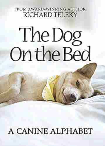 The Dog On The Bed: A Canine Alphabet