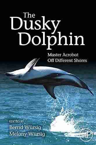 The Dusky Dolphin: Master Acrobat Off Different Shores