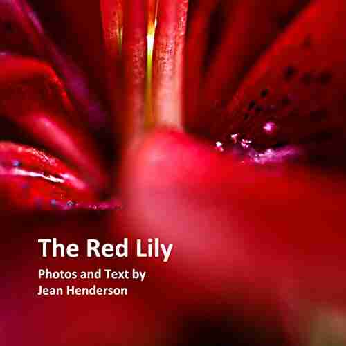 The Red Lily Jean Henderson