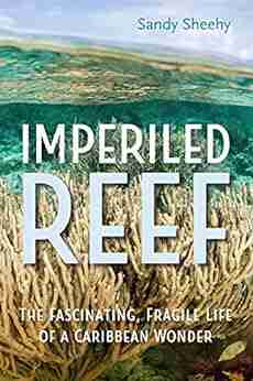 Imperiled Reef: The Fascinating Fragile Life Of A Caribbean Wonder