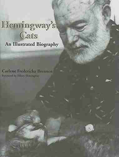 Hemingway S Cats: An Illustrated Biography