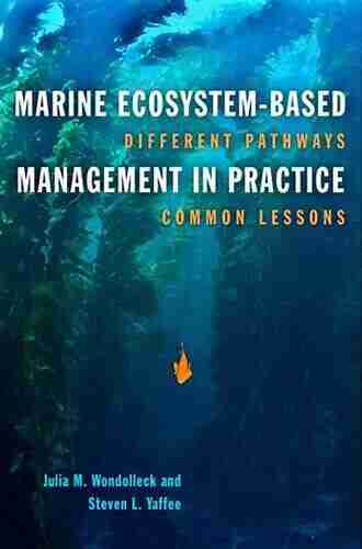 Marine Ecosystem Based Management In Practice: Different Pathways Common Lessons