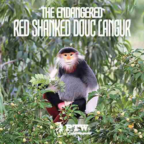 The Endangered Red Shanked Douc Langur