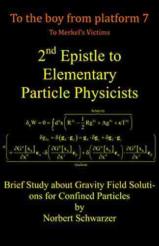 2nd Epistle To Elementary Particle Physicists: Brief Study About Gravity Field Solutions For Confined Particles