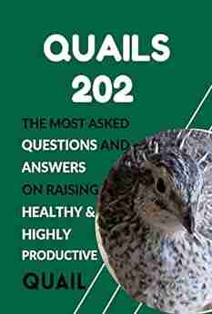 Quails 202: The Most Asked Questions And Answers On Raising Healthy Highly Productive Quail