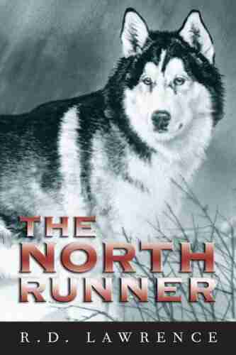 The North Runner Steve Weber