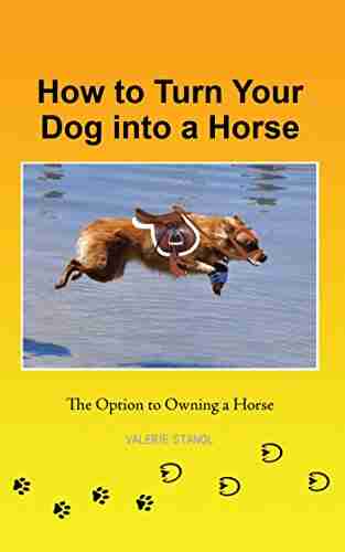 How to Turn Your Dog into a Horse: The Option to Owning a Horse