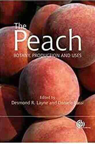 The Peach: Botany Production And Uses