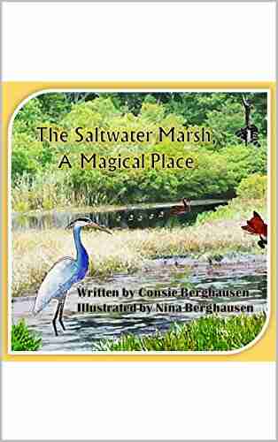 The Saltwater Marsh A Magical Place