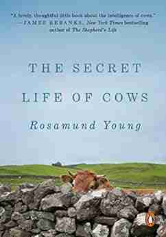 The Secret Life Of Cows