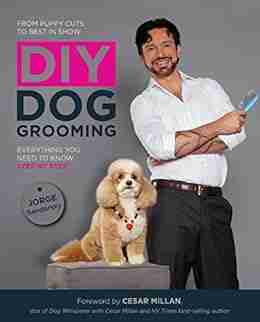 DIY Dog Grooming From Puppy Cuts To Best In Show: Everything You Need To Know Step By Step