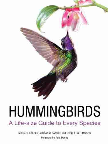 Hummingbirds: A Guide To Every Species