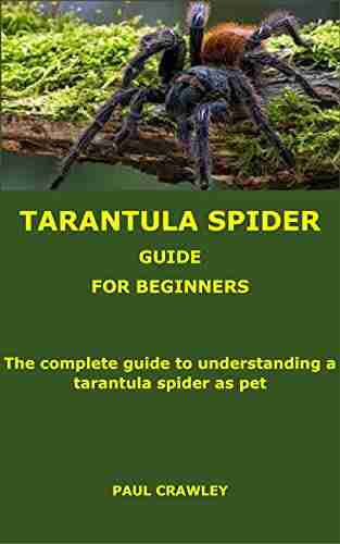 TARANTULA SPIDER GUIDE FOR BEGINNERS: The complete guide to understanding a tarantula spider as pet