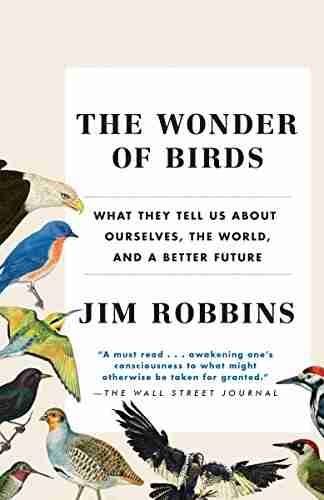 The Wonder Of Birds: What They Tell Us About Ourselves The World And A Better Future