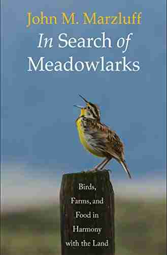 In Search of Meadowlarks: Birds Farms and Food in Harmony with the Land