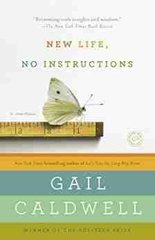 New Life No Instructions: A Memoir