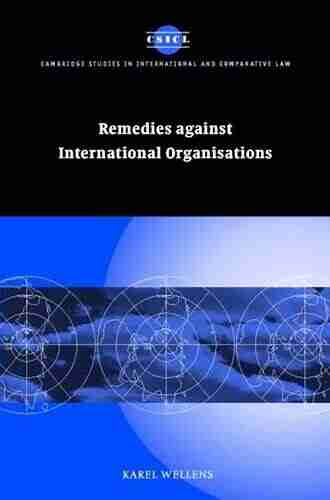 Substantive Protection under Investment Treaties: A Legal and Economic Analysis (Cambridge Studies in International and Comparative Law 110)