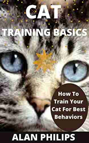 CAT TRAINING BASICS: HOW TO TRAIN YOUR CAT FOR BEST BEHAVIORS