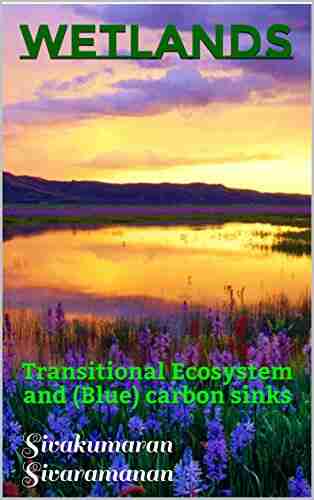 Wetlands: Transitional Ecosystem And (Blue) Carbon Sinks